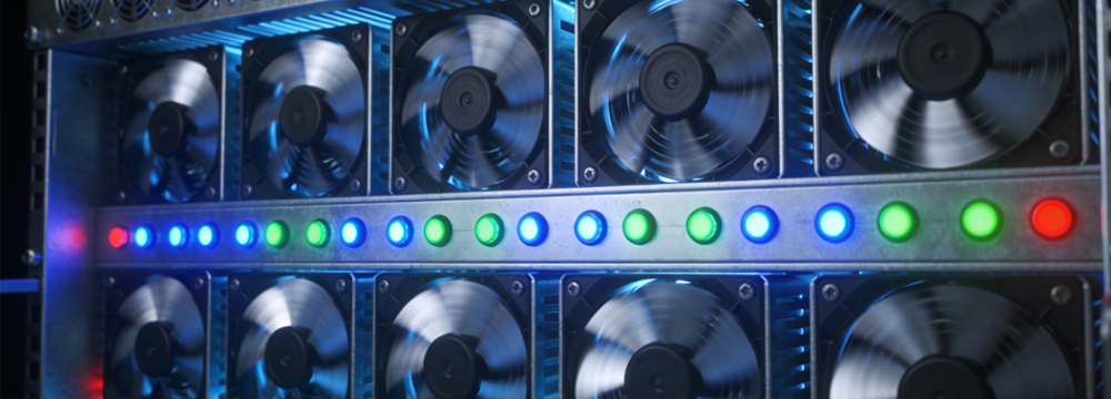 1766030299600078.jpg 素材 拷贝2.jpg